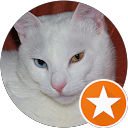 ΘΕΟΔΟΣΙΑ ΚΑΟΥΝΗ profile picture